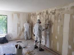 Best Comprehensive Air Testing for Mold Contaminants  in White Hall, IL